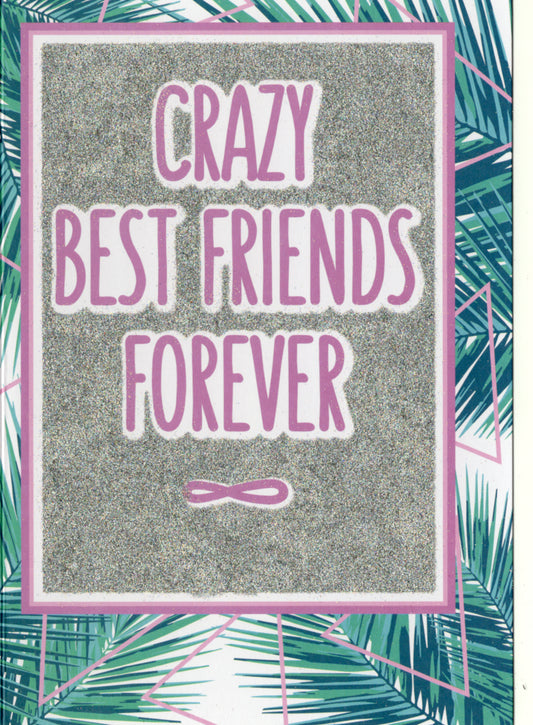 Best friends Blank Greeting Card Retail $3.99. Inside: Blank | 7801 | 255376