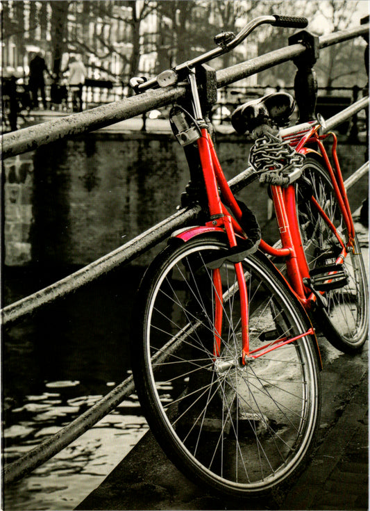 Bicycle blank card Retail $2.99. Inside: BLANK | 7761 | 255427