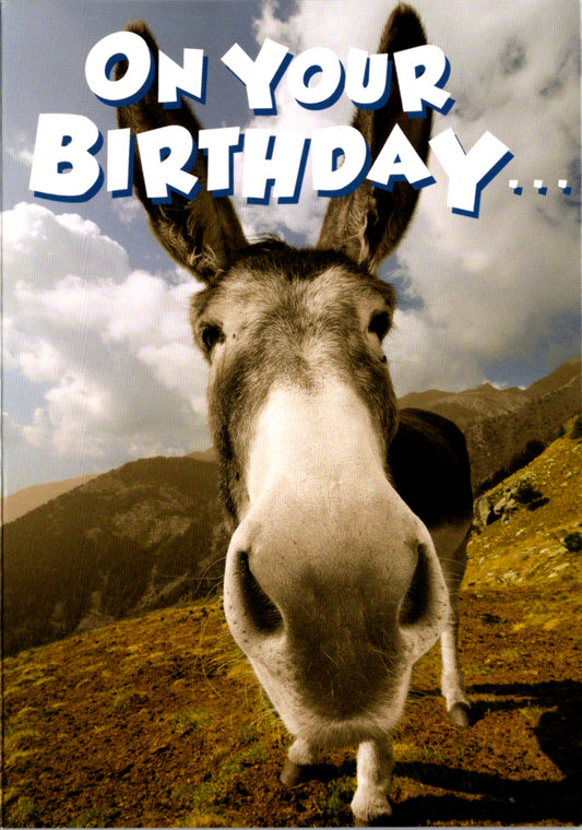 Humor General Birthday- Donkey. Retail $2.99 Inside: Happy Birthday! 5x7 Greeting Card | 5190 | 255528