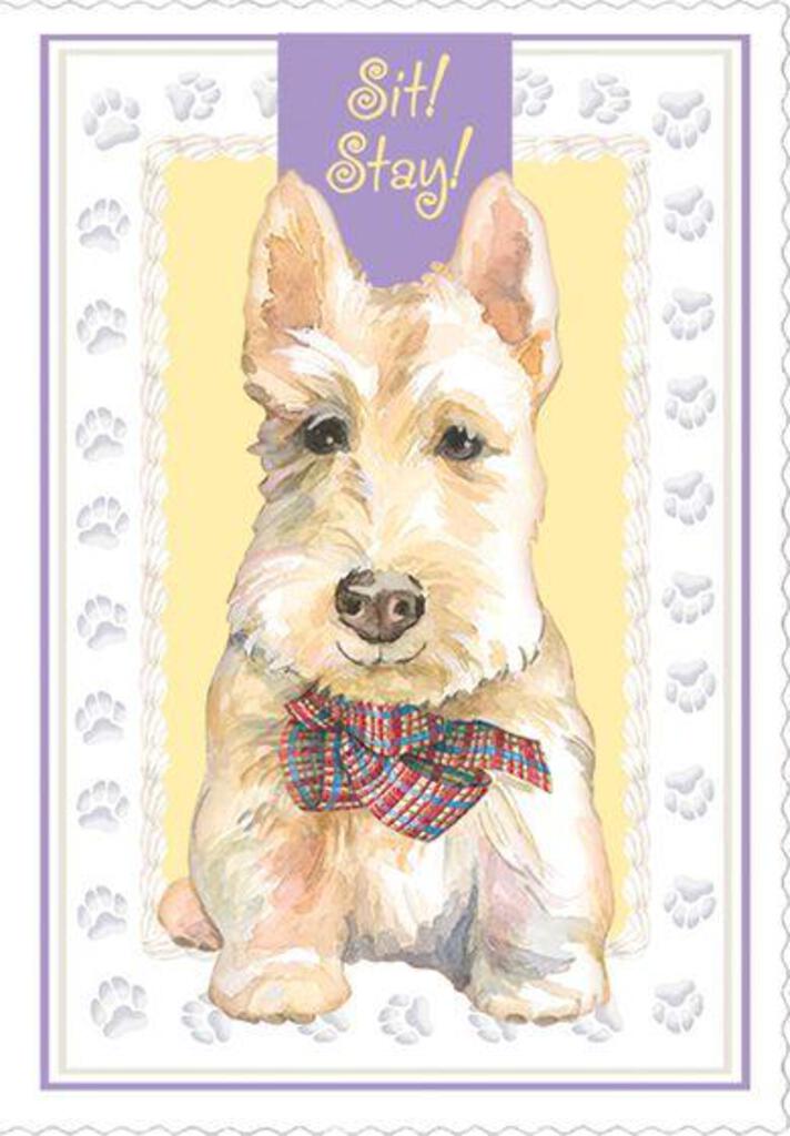 Puppy says Sit Stay! embossed die cut get well greeting card by Carol Wilson Inside Heal! Wishing you a speedy recovery. Retail $4.99  255602 CRG1666