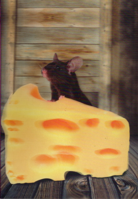 3D Cheese and mouse Blank Greeting Card Retail $3.99. Inside: Blank | 5786 | 255852