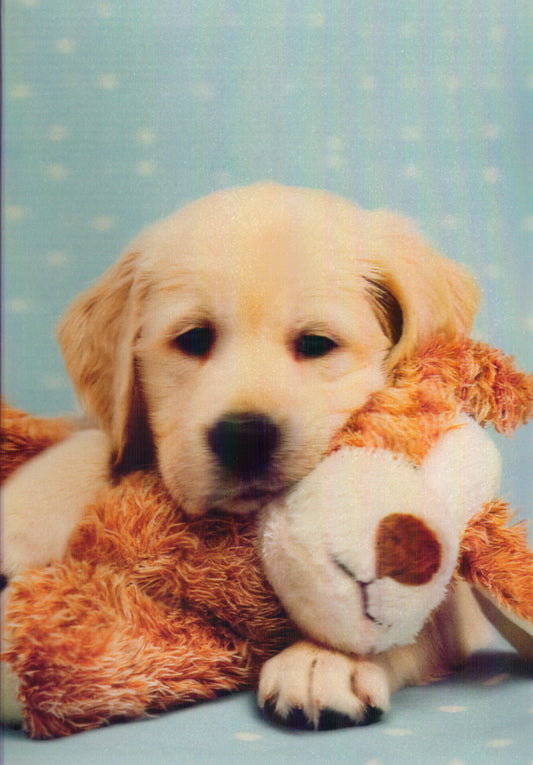 3D - RETRIVER and TEDDY 5x7 Greeting Card | 05263A | 255927