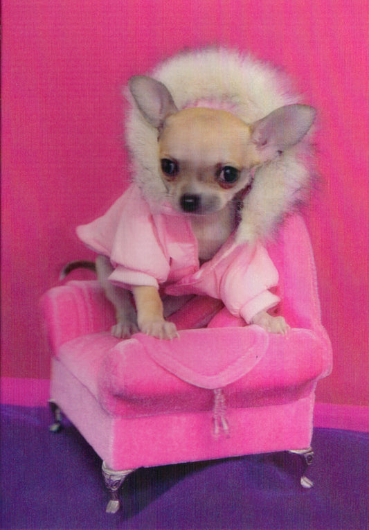 3D Chihuahua Blank Greeting Card Retail $3.99. Inside: Blank | 05262A | 255942