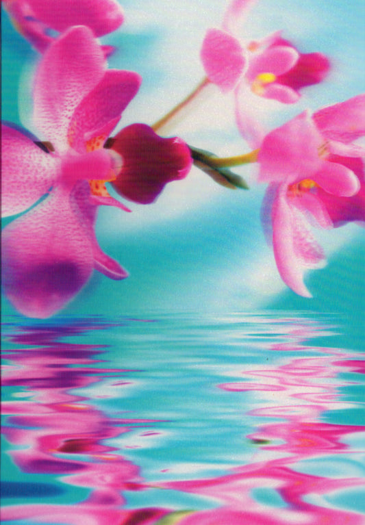 3D Pink orchid Blank Greeting Card Retail $3.99. Inside: Blank | 05273A | 255951