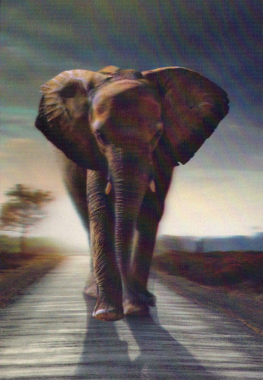 Elephant blank card Retail $3.99. Inside: Blank | 05267A | 256000