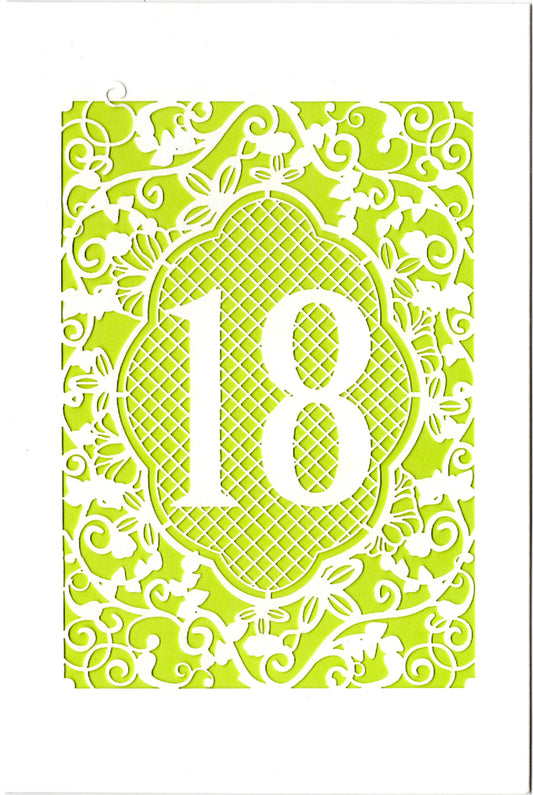 Green lace themed 18th Age Birthday card Retail $3.99. Inside: Wishing you a happy joyful and exciting 18th birthday | 7413 | 256135