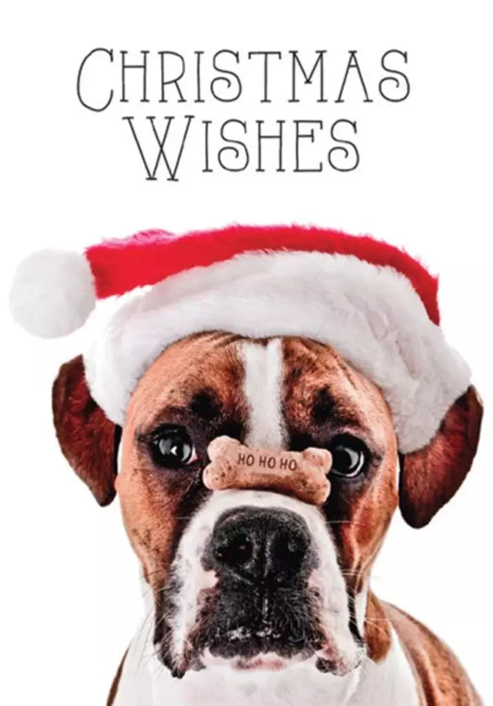 CHRISTMAS CARD-BOXER WITH TREAT ON NOSE Retail $2.99 Inside: Santa nose you've been good... 256507 XC06478