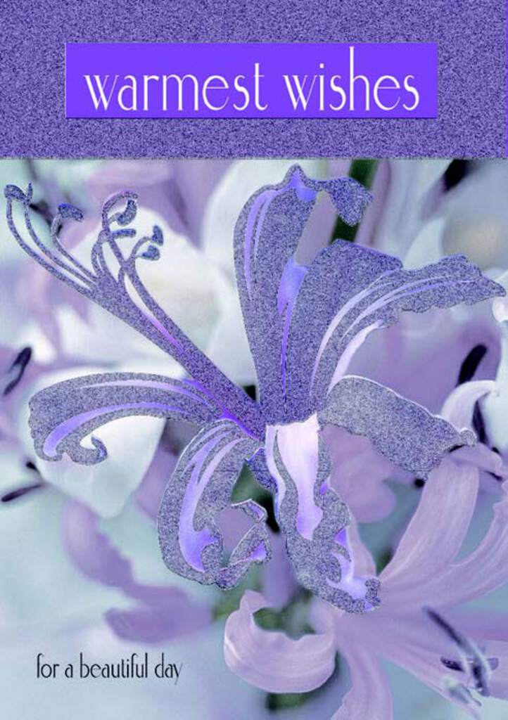 Purple lily Birthday card from the Electric Collection with glitter. Retail $2.99. Inside: Wishing you a very happy birthday. 256595 04127A