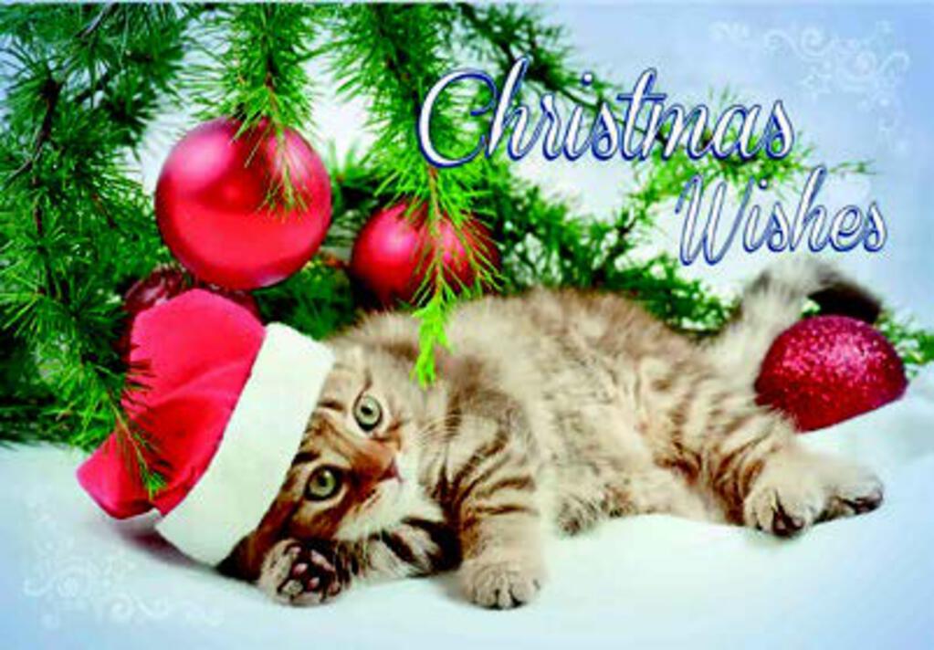 CHRISTMAS CARD-CAT IN HAT UNDER TREE Retail $2.59 Inside: May you be surrounded by all the things... 256995 XC05251