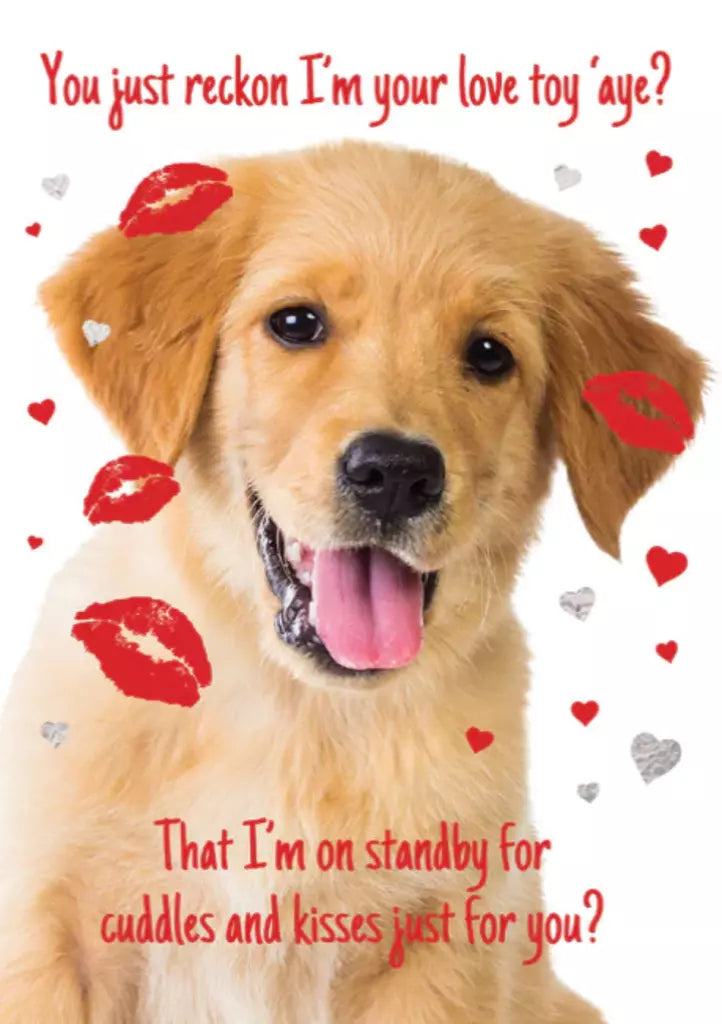 Labrador- Valentine's Humor greeting card. Retail $2.99. Inside: Well...yeah I totally am! Happy Valentine's Day! 257165 V07743