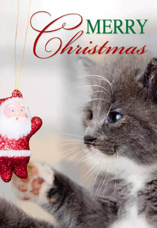 CHRISTMAS CARD 3D - CAT and SANTA ORNAMENT Retail $3.99  Inside: Merry Christmas 257192 X3D06411