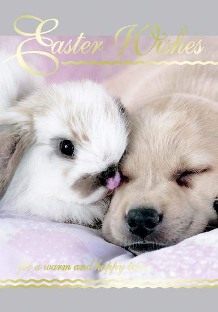 Dog and rabbit- General Easter greeting card. Retail $2.99. Inside: Filled with lots of love. Have a happy Easter! 257519 EA02291B