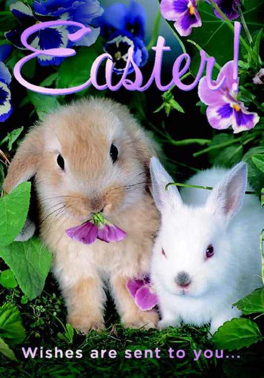 BUNNIES IN GARDEN Greeting Card | EA03226A | 257520