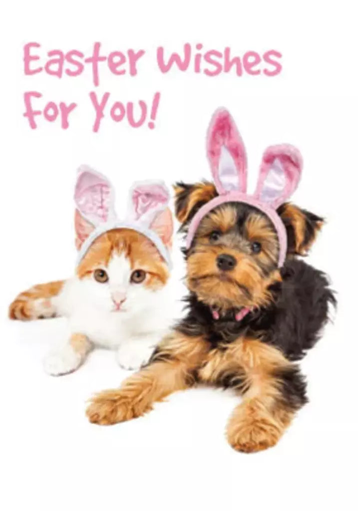 Puppy and kitty- General Easter greeting card. Retail $2.99. Inside: Hope your Easter is filled with warmth happiness and sunshine! 257545 EA07819