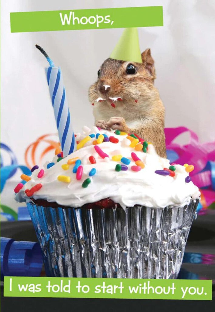Quirky Critters- Chipmunk- General Birthday. Retail $2.99 . Inside: Happy Birthday. 7443