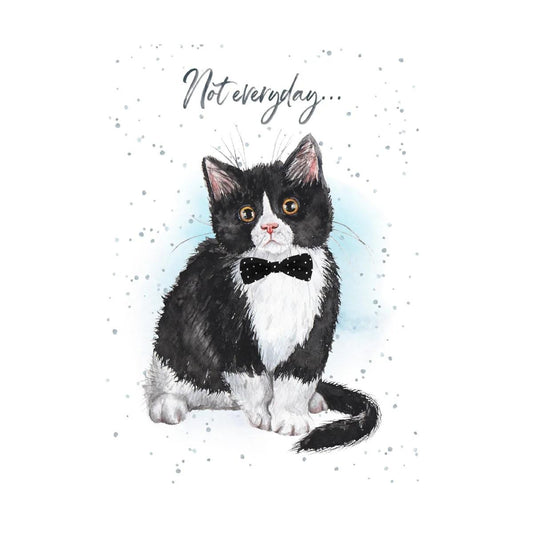 Hopper Cards- Chin up- encouragement. Retail $5.00. Dimensions: 5x7 INSIDE: can be purrfect. Keep your chin up! | HOP0053 | 257607