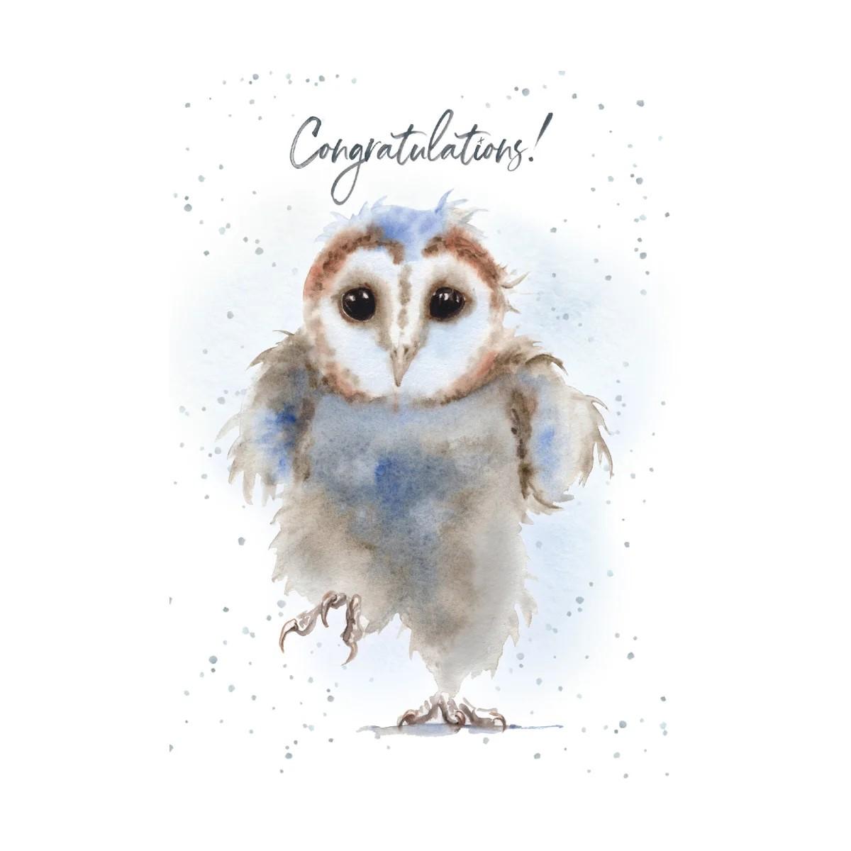Hopper Cards- Stepping up- congrats. Retail $5.00. Dimensions: 5x7 INSIDE: You are stepping up in the world | HOP0098 | 257625