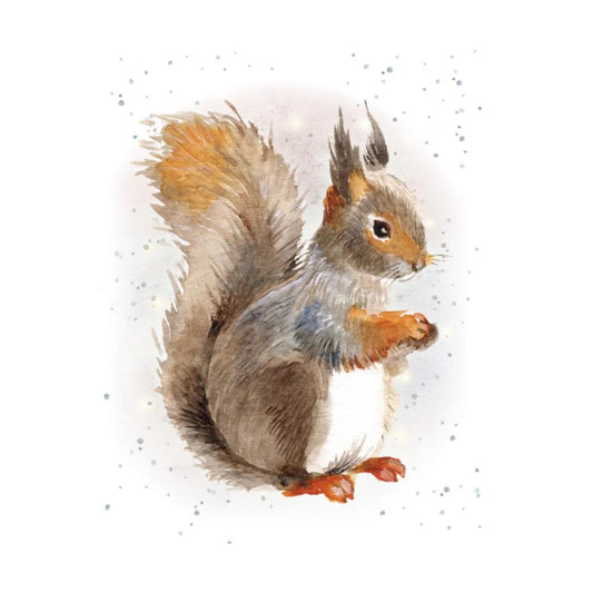 Hopper Enclosure Cards-Nuts about you. Retail $2.00. Dimensions: 3.58 X 2.83. Inside: Blank. | EHOP0090 | 257749