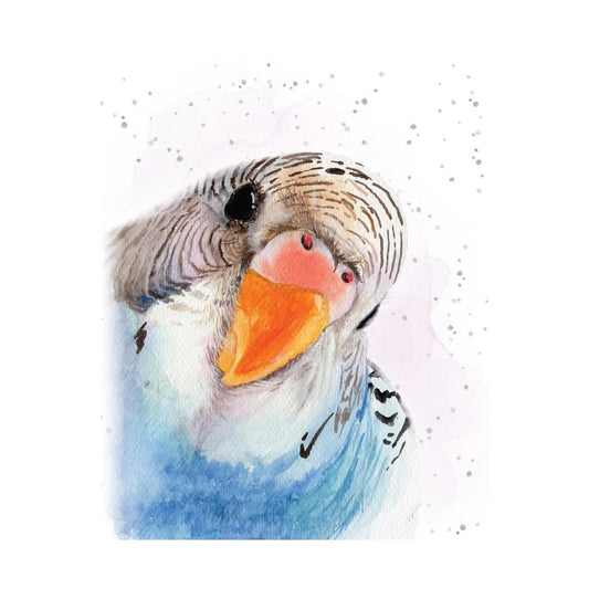 Hopper Enclosure Cards- Best budgie. Retail $2.00. Dimensions: 3.58 X 2.83. Inside: Blank. | EHOP0106 | 257761