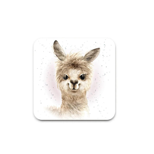 COASTER/Amy the Alpaca | COA0077 | 258142 258142