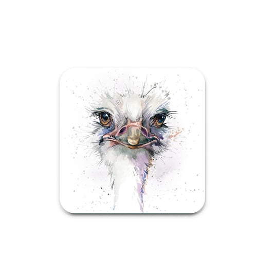 COASTER/Octavia the Ostrich | COA0056 | 258143 258143