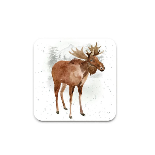 COASTER/Maurice the Moose | COA0041 | 258147 258147