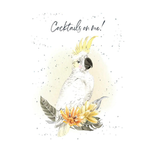 BD/Cocktails on Me | HOP0171 | 258297