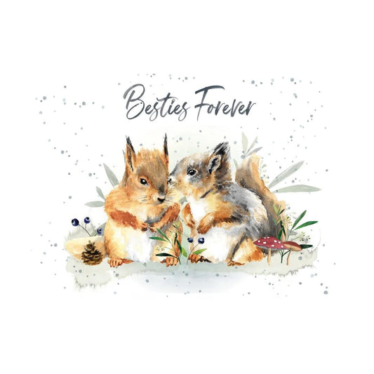 FR/Secret Keeper | HOP0155 | 258298