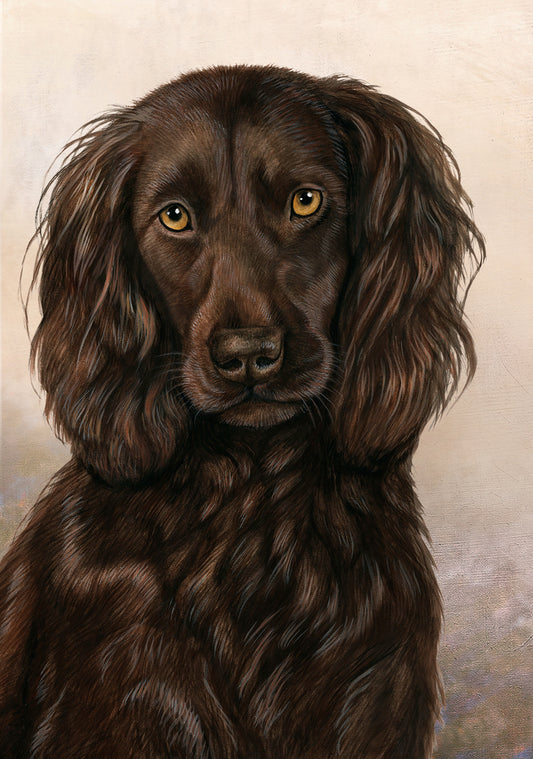 Boykin Spaniel Dog by Tamara Burnett Blank Greeting Card 5x7 | 1024 | 259167