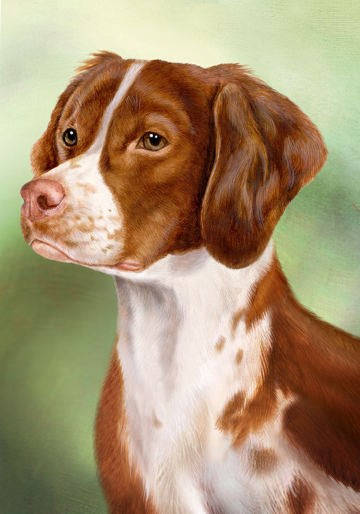 Brittany Dog by Tamara Burnett Blank Greeting Card 5x7 | 1025 | 259168