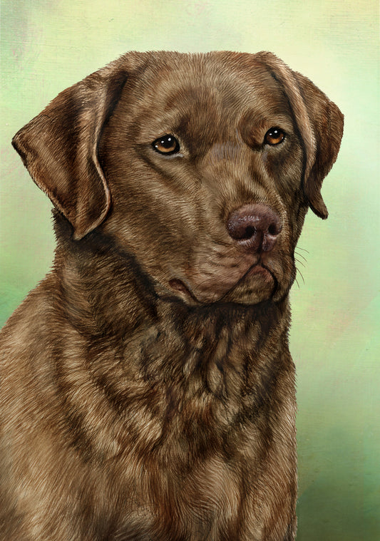 Chesapeake Bay Retriever Dog by Tamara Burnett Blank Greeting Card 5x7 | 1034 | 259177