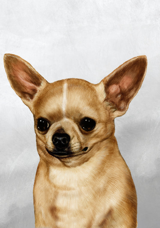 Tamara Burnett Chihuahua Dog 5x7 Blank Greeting Card 259178