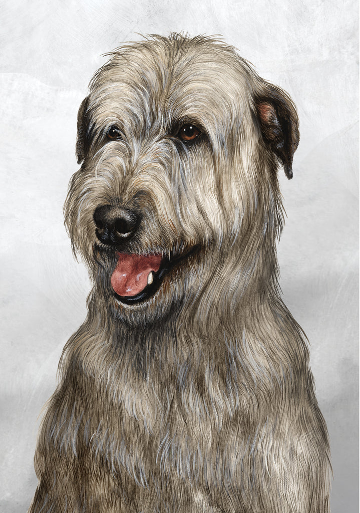 Irish Wolfhound Dog by Tamara Burnett Blank Greeting Card 5x7 | 1062 | 259205