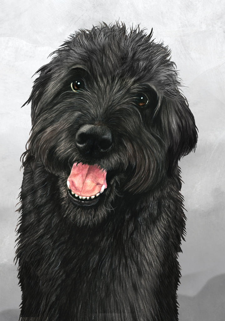 Labradoodle Dog by Tamara Burnett Blank Greeting Card 5x7 | 1065 | 259208