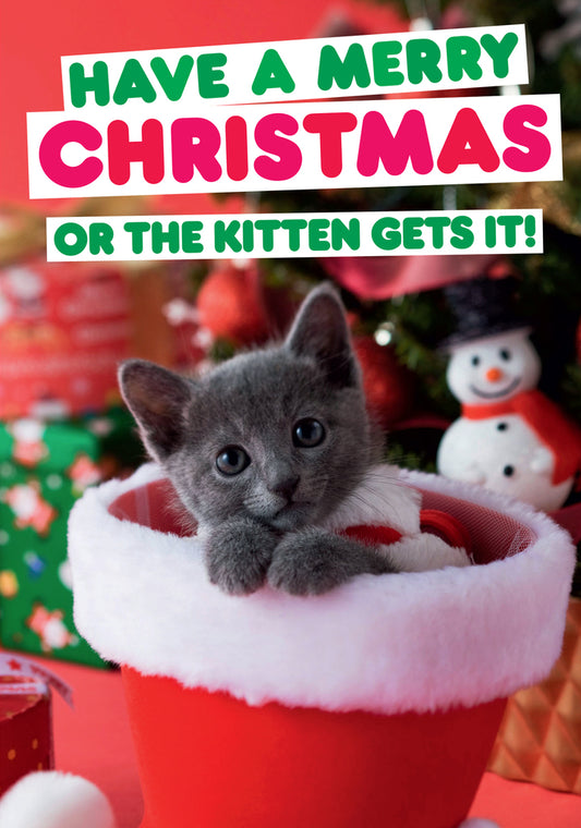 Dean Morris Have A Merry Christmas Kitten Gets It Funny Greeting Card 5x7 DMX188 | 259852
