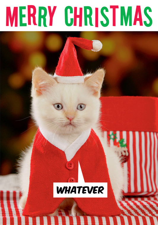 Dean Morris Merry Christmas Whatever Santa Cat Funny Greeting Card 5x7 DMX212 | 259863