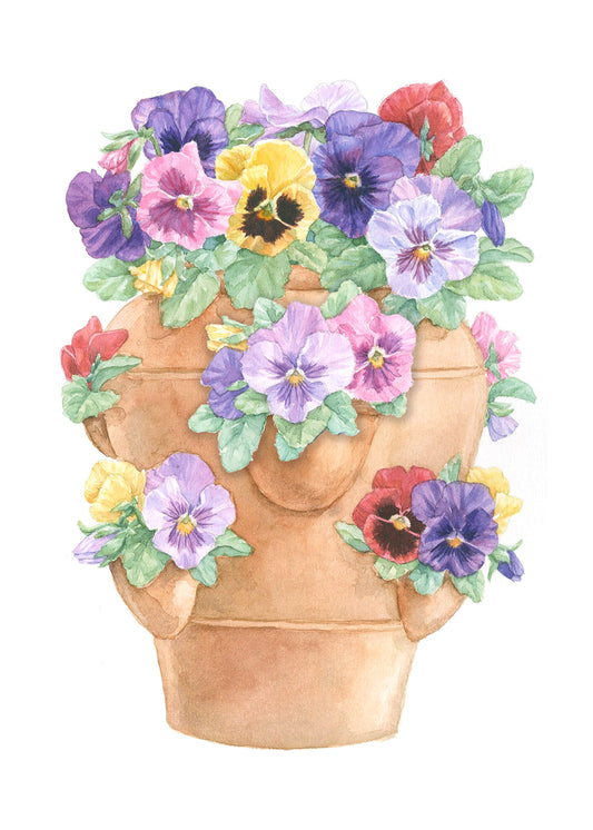 Carols Rose Garden Pansy Pot Flower Watercolor Greeting Card 5x7 H-PAN022 | 1822 | 260091