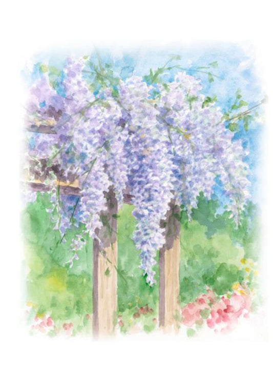 Carols Rose Garden Lilac Arbor Flower Garden Watercolor Greeting Card 5x7 H-WIS002 | 1836 | 260105