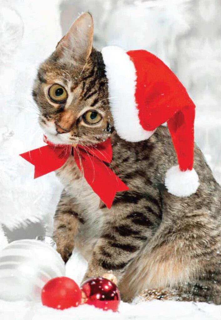 CHRISTMAS CARD 3D - CAT IN XMAS HAT
Retail: $3.99 
Inside: Marry Christmas X3D06402A
