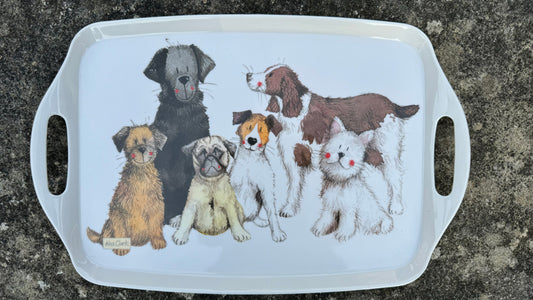 LARGE DOG TRAY LTY01