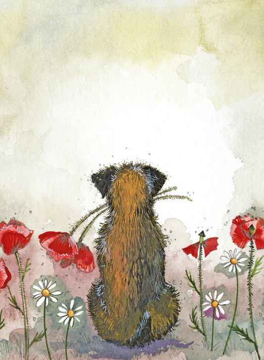 BORDER AND POPPIES SMALL SPIRAL NOTEPADS SSN40