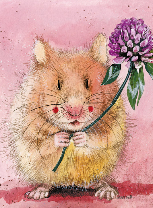 HERBERT SMALL SPIRAL NOTEPADS SSN59