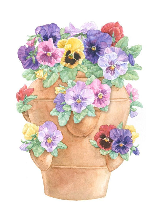Carols Rose Garden Pansy Pot Flower Watercolor Box of 10 Note Cards 4x5 H-PAN022 | 1822-4x5 | 261049