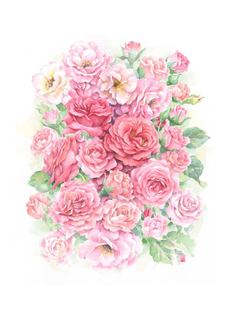 Carols Rose Garden Rosy Pink Rose Flower Bouquet Watercolor Box of 10 Note Cards 4x5 H-ROS183 | 1828-4x5 | 261066