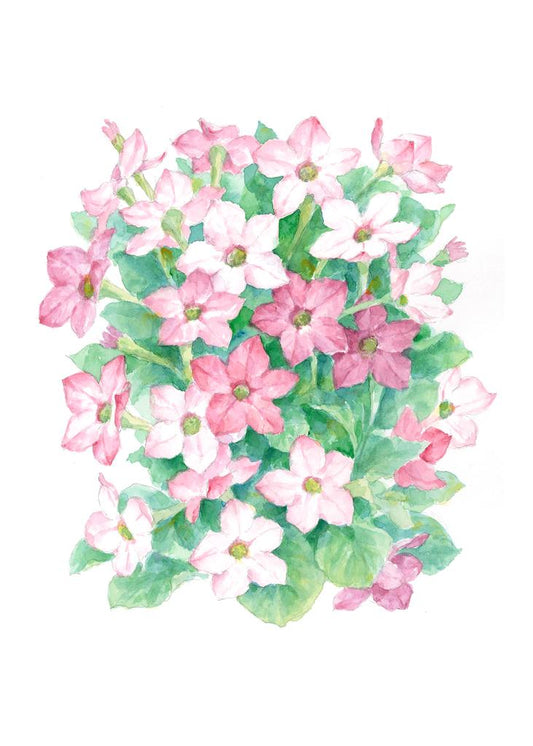 Carols Rose Garden Pink Posy Flower Posies Watercolor Enclosure Card 2x3 H-MSF025 | 1818-2x3 | 261239