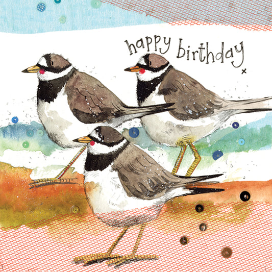 ALEX CLARK RINGED PLOVERS CARD W17 | 261248