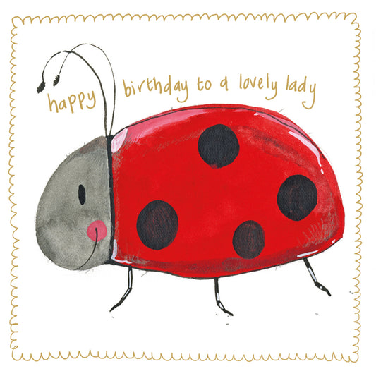 ALEX CLARK LADYBIRD LS203 | 261257