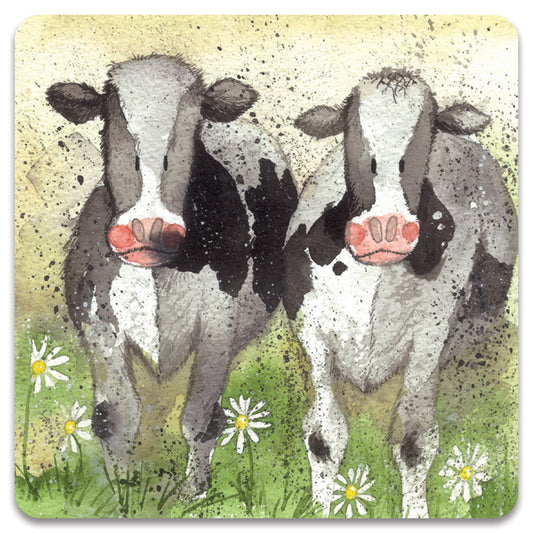 CURIOUS COWS FRIDGE MAGNET FM76