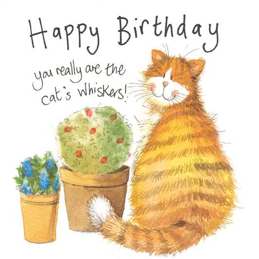 ALEX CLARK WHISKERS BIRTHDAY CARD S03 | 261383
