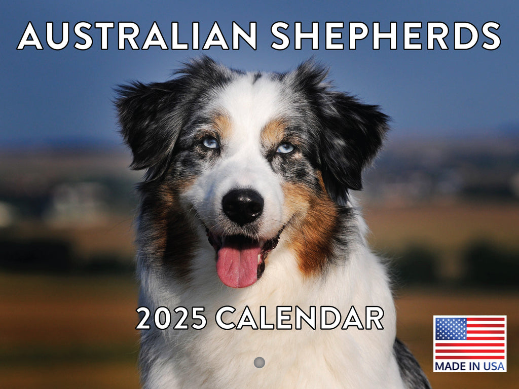 Australian Shepherd Calendar 2025 Monthly Wall Calender 12 Month | Made In The USA 261637